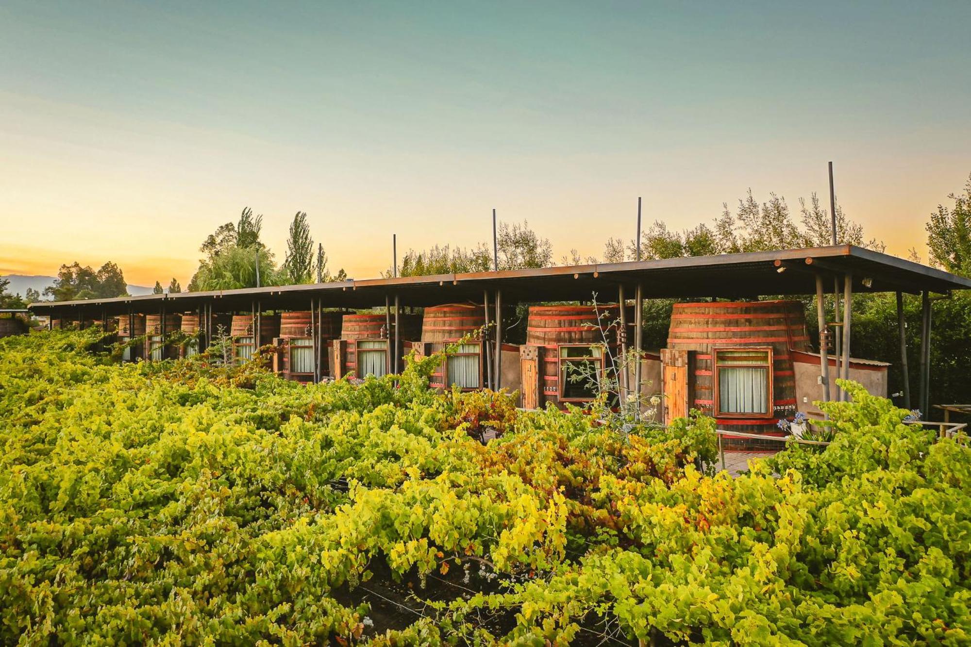 Cava Colchagua Hotel Boutique Santa Cruz Exterior foto