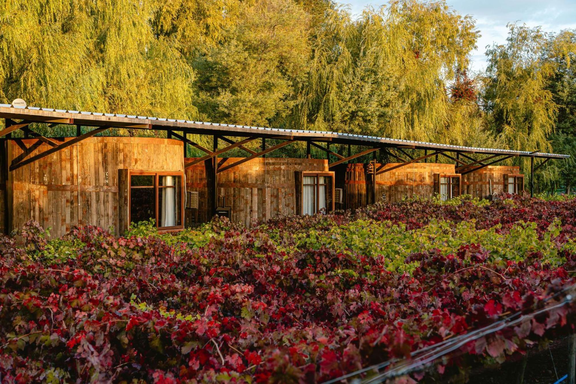 Cava Colchagua Hotel Boutique Santa Cruz Exterior foto