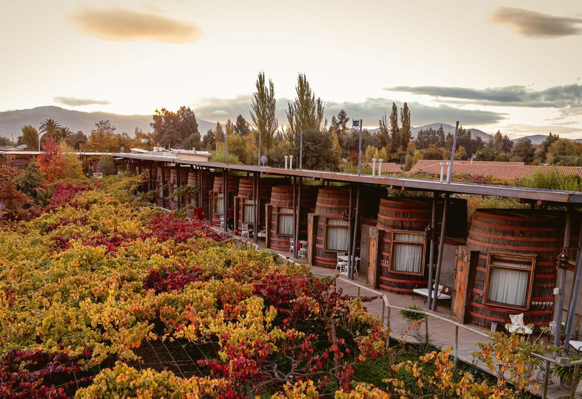 Cava Colchagua Hotel Boutique Santa Cruz Exterior foto